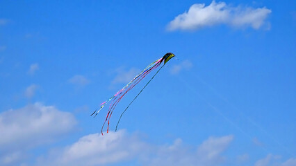 Kite on the sky background