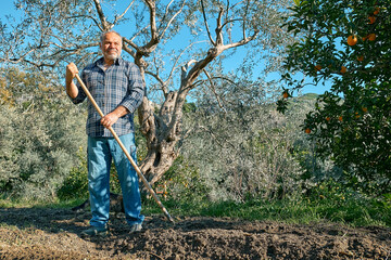 Gardener prepare the soil for spring planting. Man makes the furrows with the hoe or rake in...