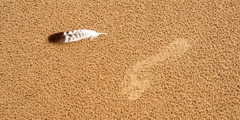 Footprint and Seagull Quill on the Sand in the Beach
