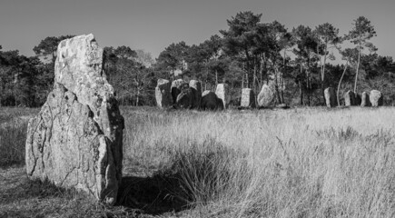 Carnac: Black and white photo of alignment of Neolithic menhirs of Kerlescan, a site located in Morbihan in Brittany, the town is known for its alignments of 2,934 menhirs.