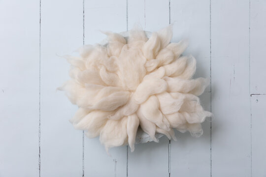 Newborn digital composite