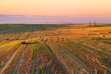 Haystack on field on sunset background. Hay bale from residues grass. Hay stack in agriculture. Hay...