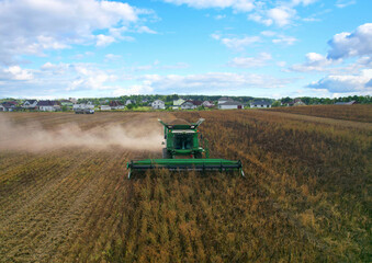 Fototapeta premium Spring wheat harwesting. Wheat and corn markets react in crisis world’s breadbasket. Wheat import, maize (corn), soybeans. Global crop prices in food crisis. Global food inflation and hunger.