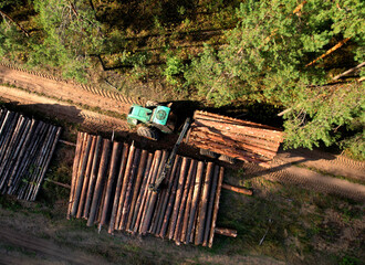 Crane forwarder machine during clearing of forested land. Wheeled harvester transports raw timber from felling site out. Harvesters, Forest Logging machines. Forestry forwarder on deforestation. - obrazy, fototapety, plakaty