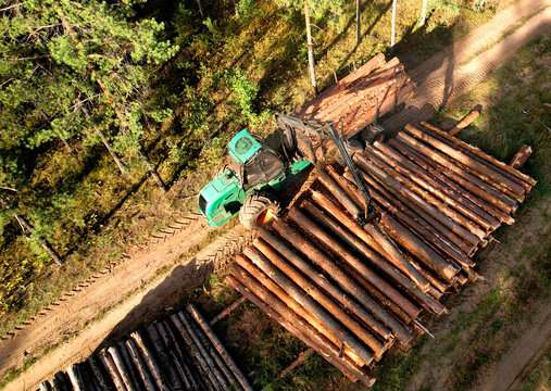 Crane forwarder machine during clearing of forested land. Wheeled harvester transports raw timber from felling site out. Harvesters, Forest Logging machines. Forestry forwarder on deforestation.