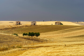 Obraz premium Country landscape in Basilicata, Italy, at summer