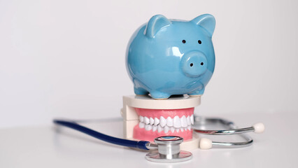 Piggy bank with White teeth model on white background. tax offset concept. Medical Expense Deductions and Tax Breaks. affordable care act. high cost health care. dental expenses