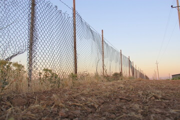 barbed wire fence