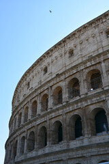 the colosseum in Rome