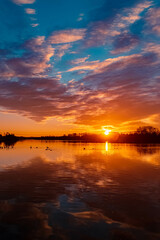 Fototapeta na wymiar Beautiful sunset with swans, ducks and reflections near Plattling, Isar, Bavaria, Germany