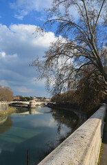 Fototapeta premium the river Tiber in Rome 