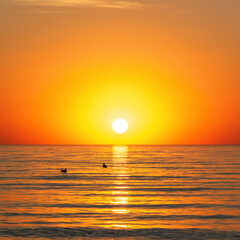 summer time orange sunset on seaside square