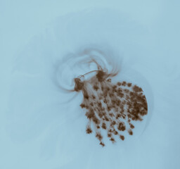 Drops of ink flowing through water.