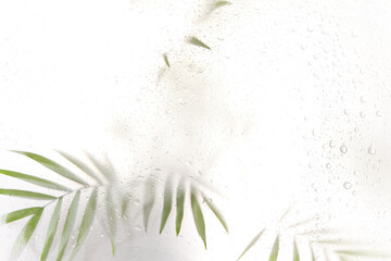 Tree branch with leaves shadow effect. blurred picture with fog effect of palm leaves silhouettes behind. selective focus