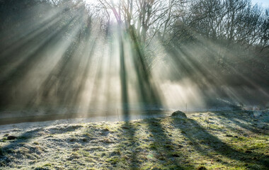 A frosty morning and stream with sunlight and rays shining through the trees covered in winter...