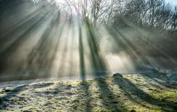 A frosty morning and stream with sunlight and rays shining through the trees covered in winter morning mist, England, Cotswolds, United Kingdom