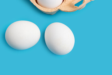 White chicken eggs on blue background
