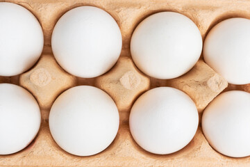 White chicken eggs in carton box, top view
