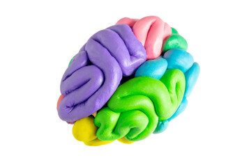 a model of the brain made of plasticine with zones of different colors - obrazy, fototapety, plakaty