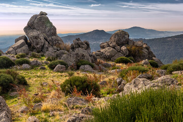 Bushes, cliffs in Sierra de Guadarrama. Madrid. Spain. Europe.