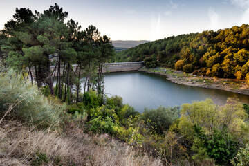 Obraz premium Weed, pines and Pajarero reservoir, early in the morning. Sierra de Gredos. Avila. Spain. Europe.
