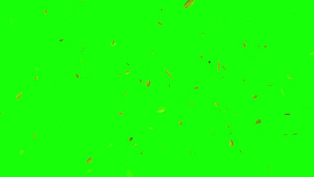 leaves floating in the wind on a green and black background.