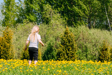 Fototapeta premium Little blonde girl on a field with yellow dandelion flowers. 