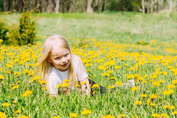 Little blonde girl on a field with yellow dandelion flowers. 