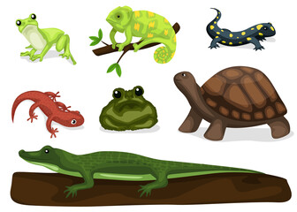 Reptiles and amphibians. Cartoon frog, chameleon, crocodile, lizard and turtle, wildlife animals. Cartoon exotic amphibian and reptiles