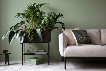 Stylish composition of living room interior. Modern sofa, design pillows, plants in metal pot and...