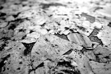 Cork board texture with blur effect in black and white.