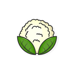 Cartoon icon of cauliflower illustration