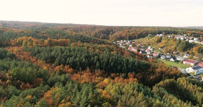 Aerial scenic panoramic landscape of pine tree natural unpolluted forest with small little stone village in mountain of Reda is northern Poland