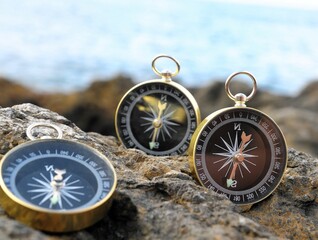 Analogic Compass