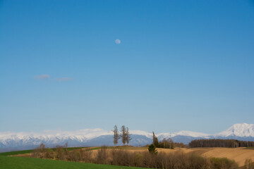 春の畑作地帯と残雪の山並みと月
