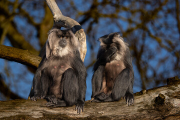 i can't look at this
