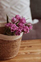Fresh still life. A basket of flowers on the table. Bouquet of pink tulips in the interior. Beautiful spring greeting card.
