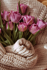 Mother's Day or International Women's Day. Knitted warm sweater with pink tulips on the coffee table in the home interior of the living room. Cozy spring concept.