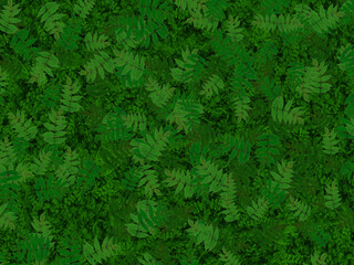 Forest glade with fresh fern leaves. Green background in eco style.  