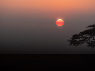 sunset in the African savannah