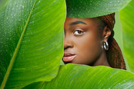 a close-up portrait of young beautiful women in leaf frame. Portrait of woman and green leaf. Organic beauty. Gray background.