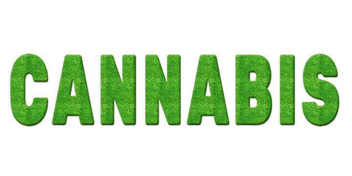 Buchstaben aus Gras-Textur mit wei&szlig;em Hintergrund und der Aufschrift CANNABIS