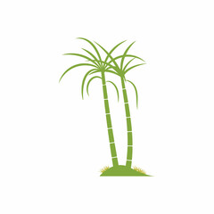 Sugar cane plant logo vector illustration design