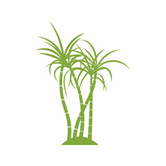 Sugar cane plant logo vector illustration design