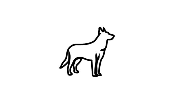 image of a dog