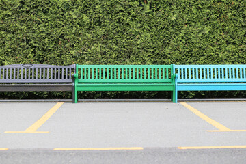 Empty wooden bench on greenery background