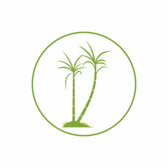 Sugar cane plant logo vector illustration design