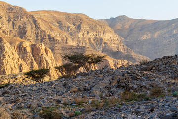 Landscape shot of the mountains in bright day. Nature