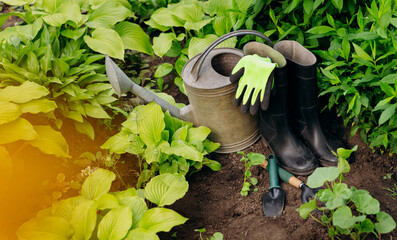 Garden tools and flowers in the garden, such as watering can, rubber boots, gloves.