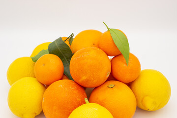 Few oranges, tangerines and lemons on white background.